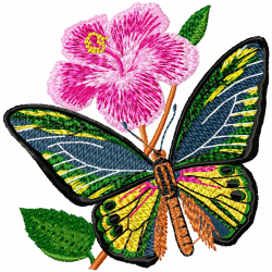 Butterfly Embroidery Design 9